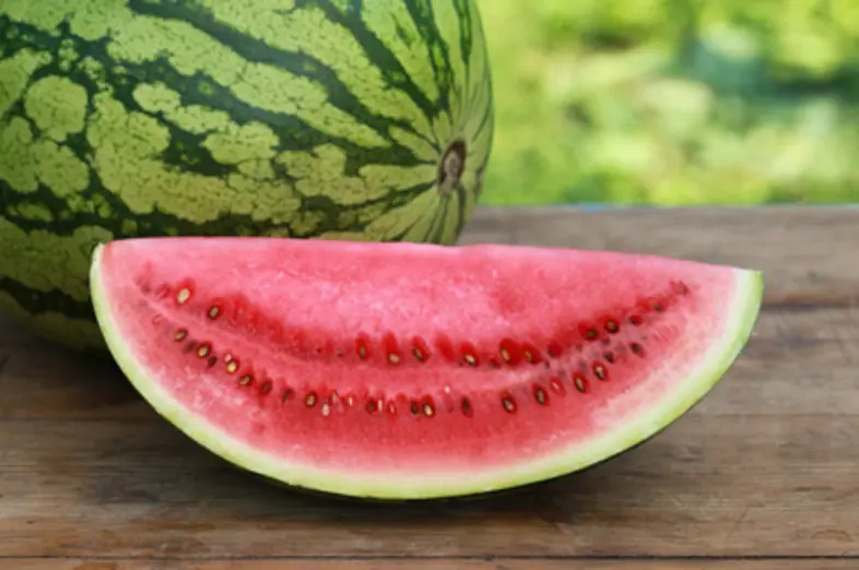 Wassermelonen_1